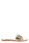 VLogo Signature slides
