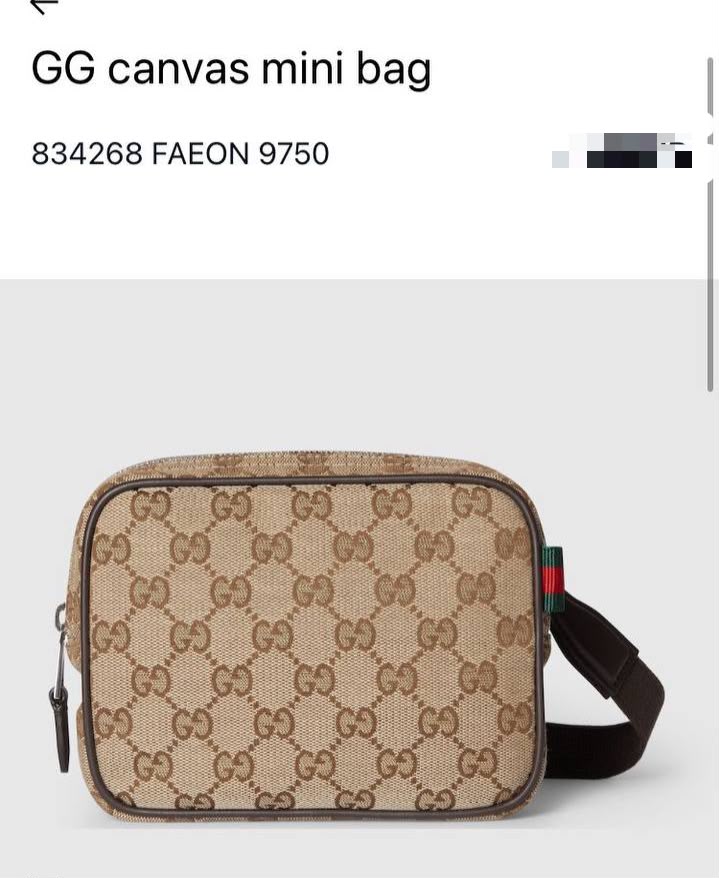 GG canvas mini bag