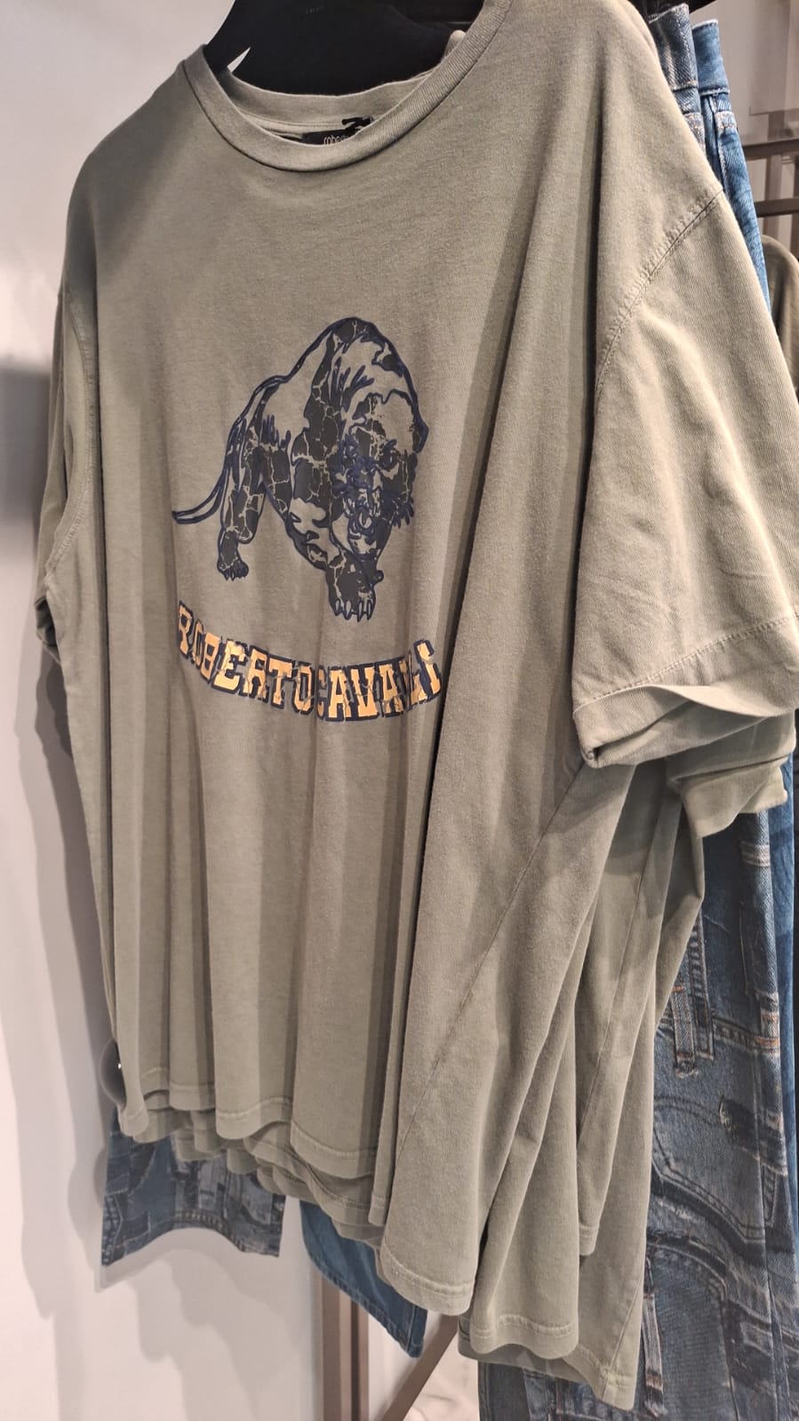 Tiger Graphic T-Shirt