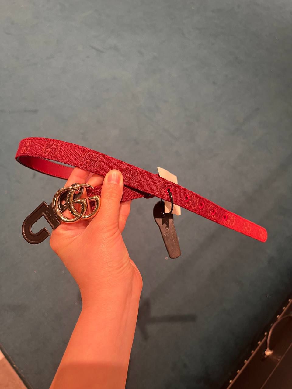 GG Marmont canvas belt