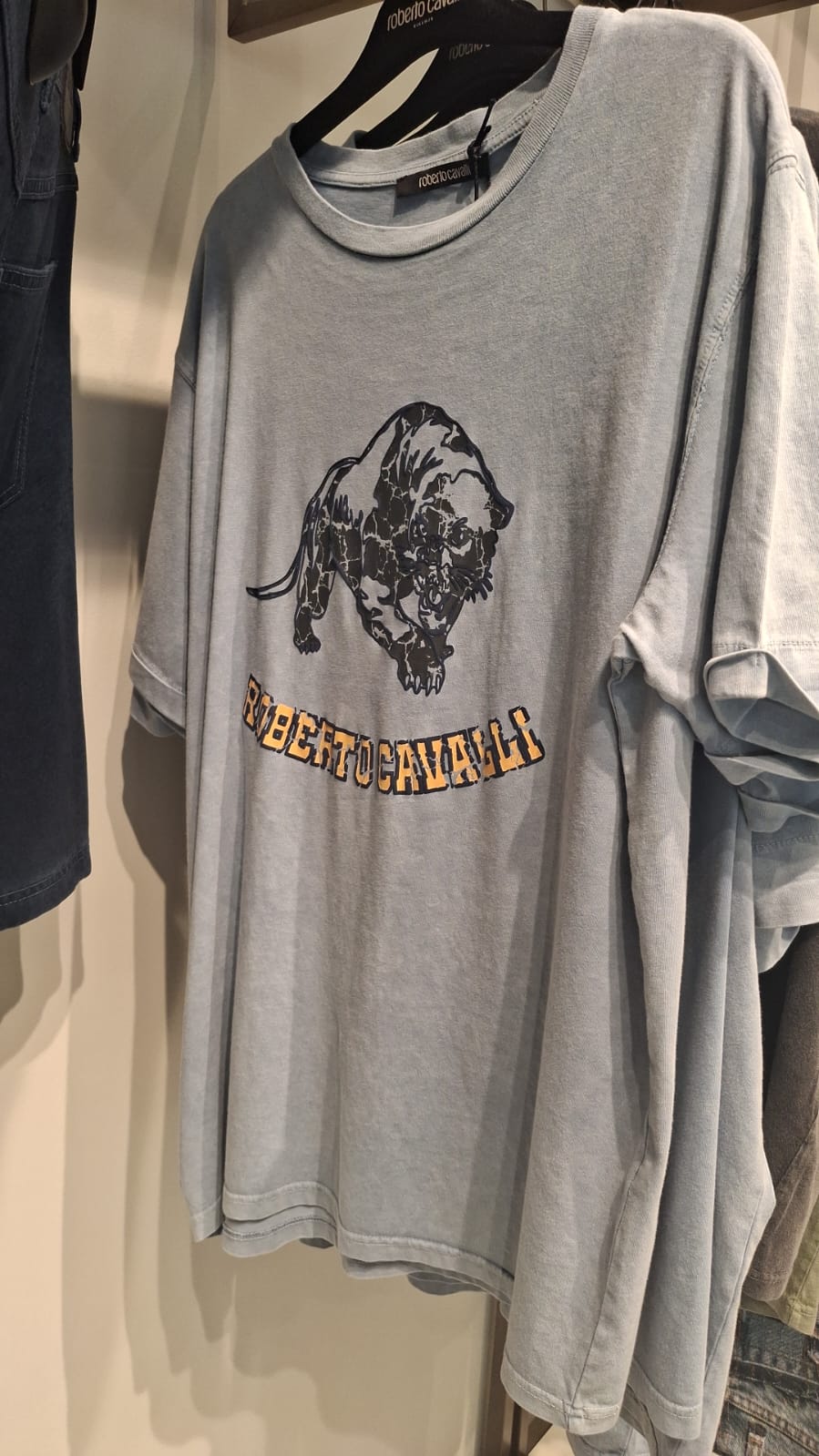Tiger Graphic T-Shirt