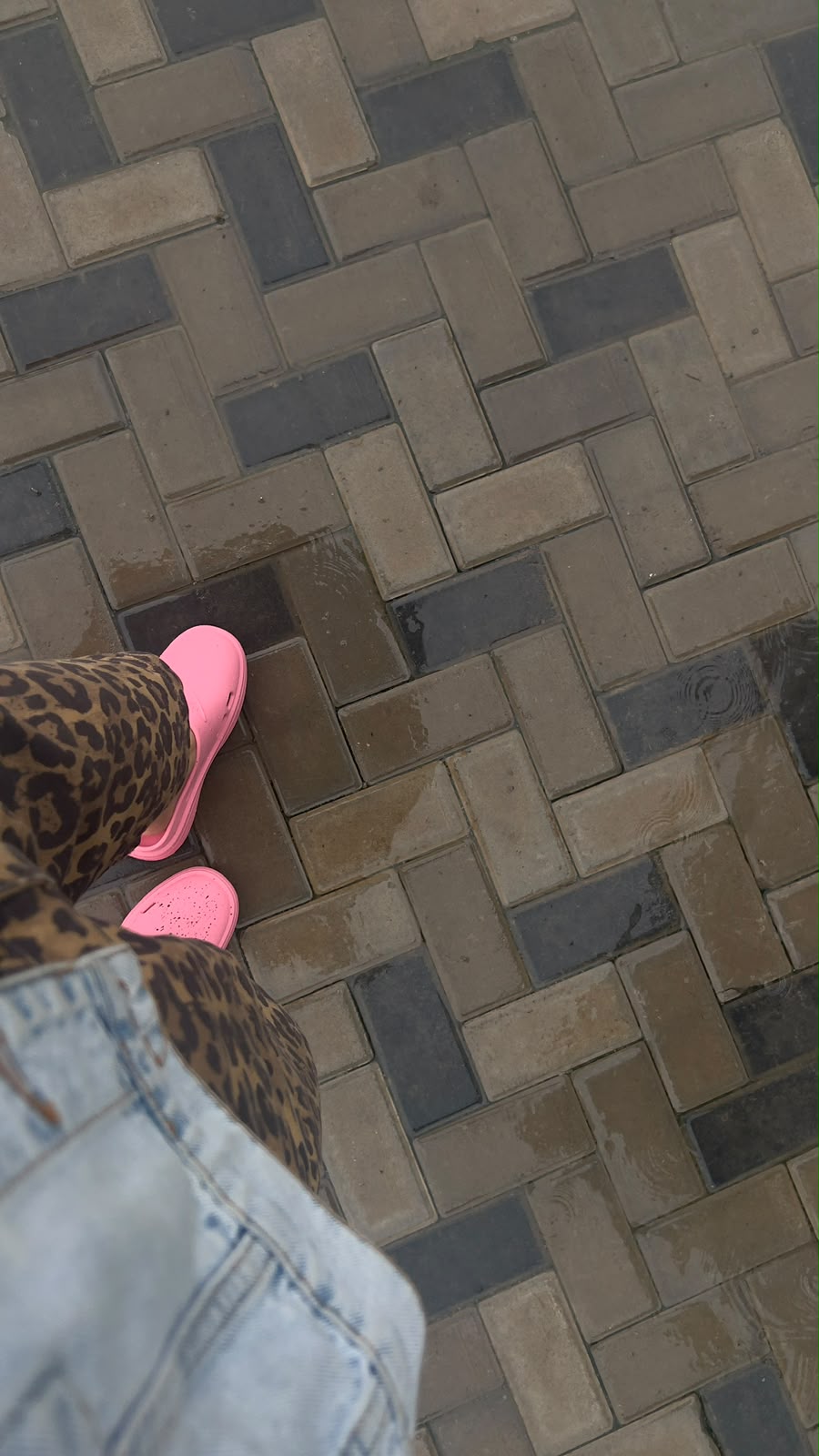 Classic Clog