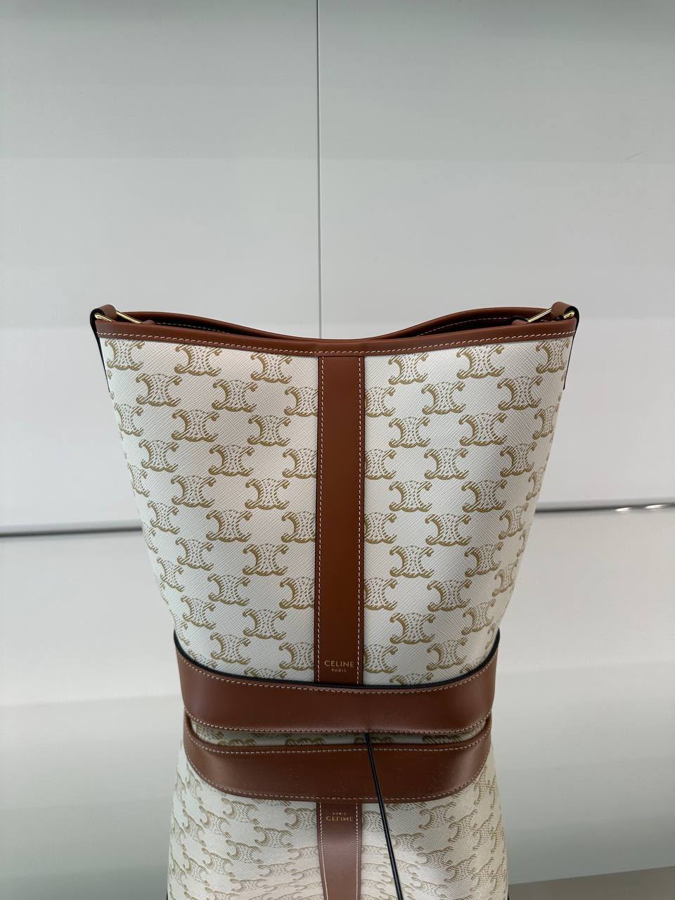 Bucket Bag in Triomphe Canvas and Calfskin