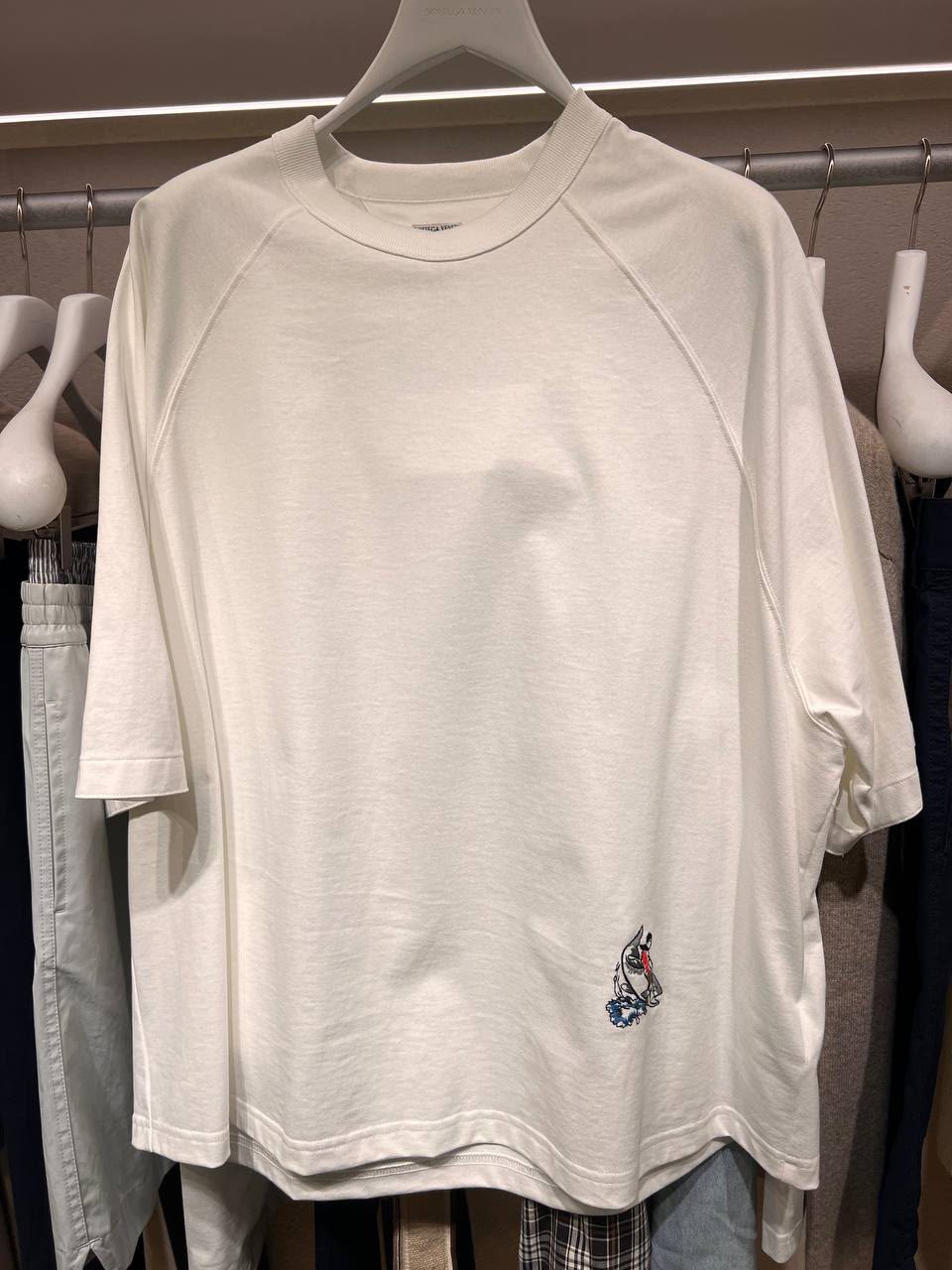 Raglan Sleeve T-Shirt with Embroidered Detail