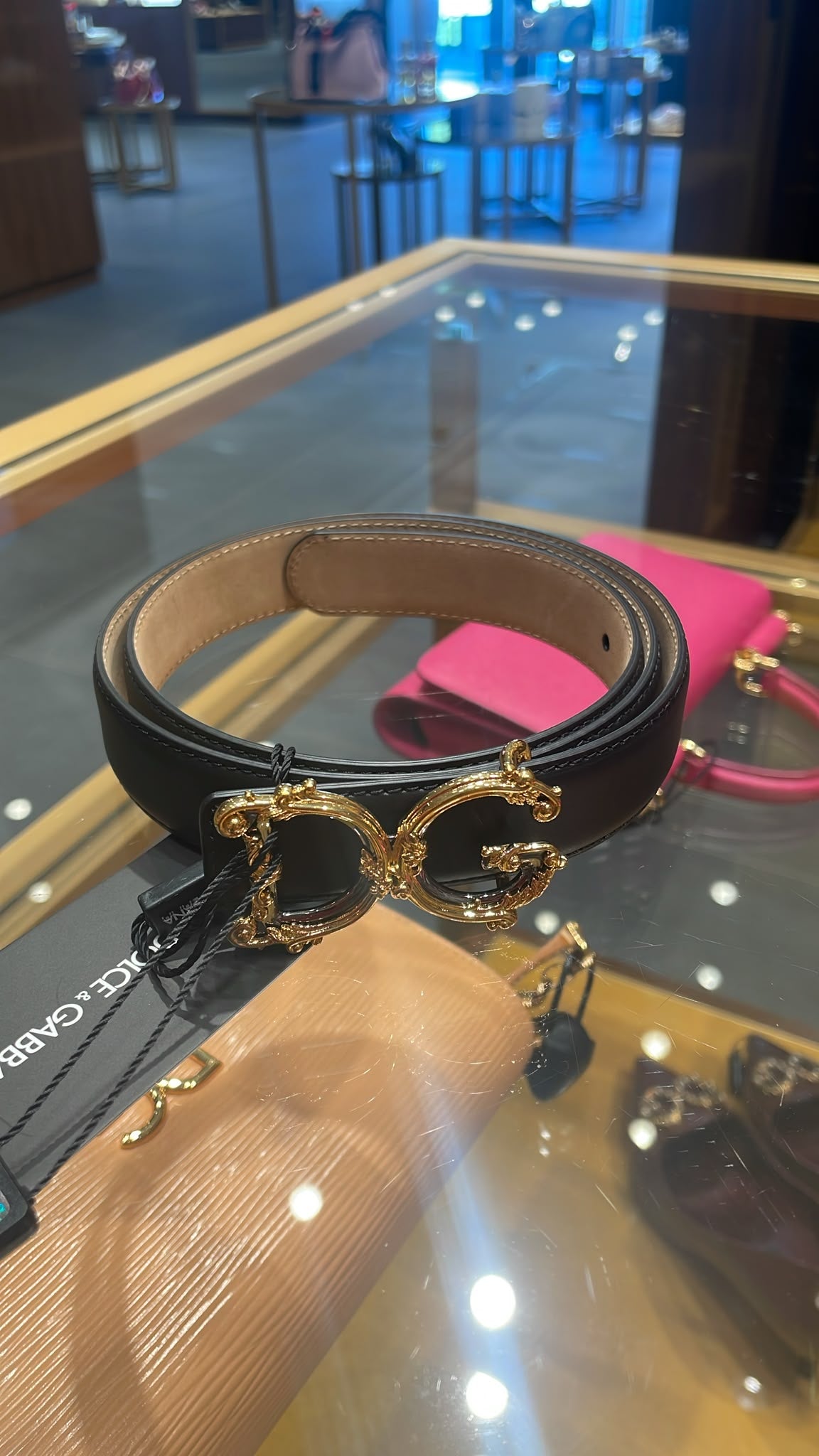 DG Logo Belt in Smooth Calfskin