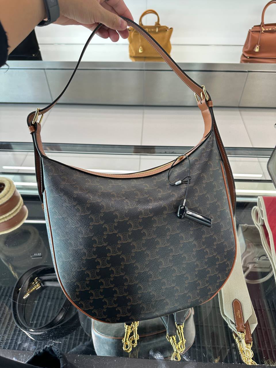 Ava Medium in Triomphe Canvas and Calfskin
