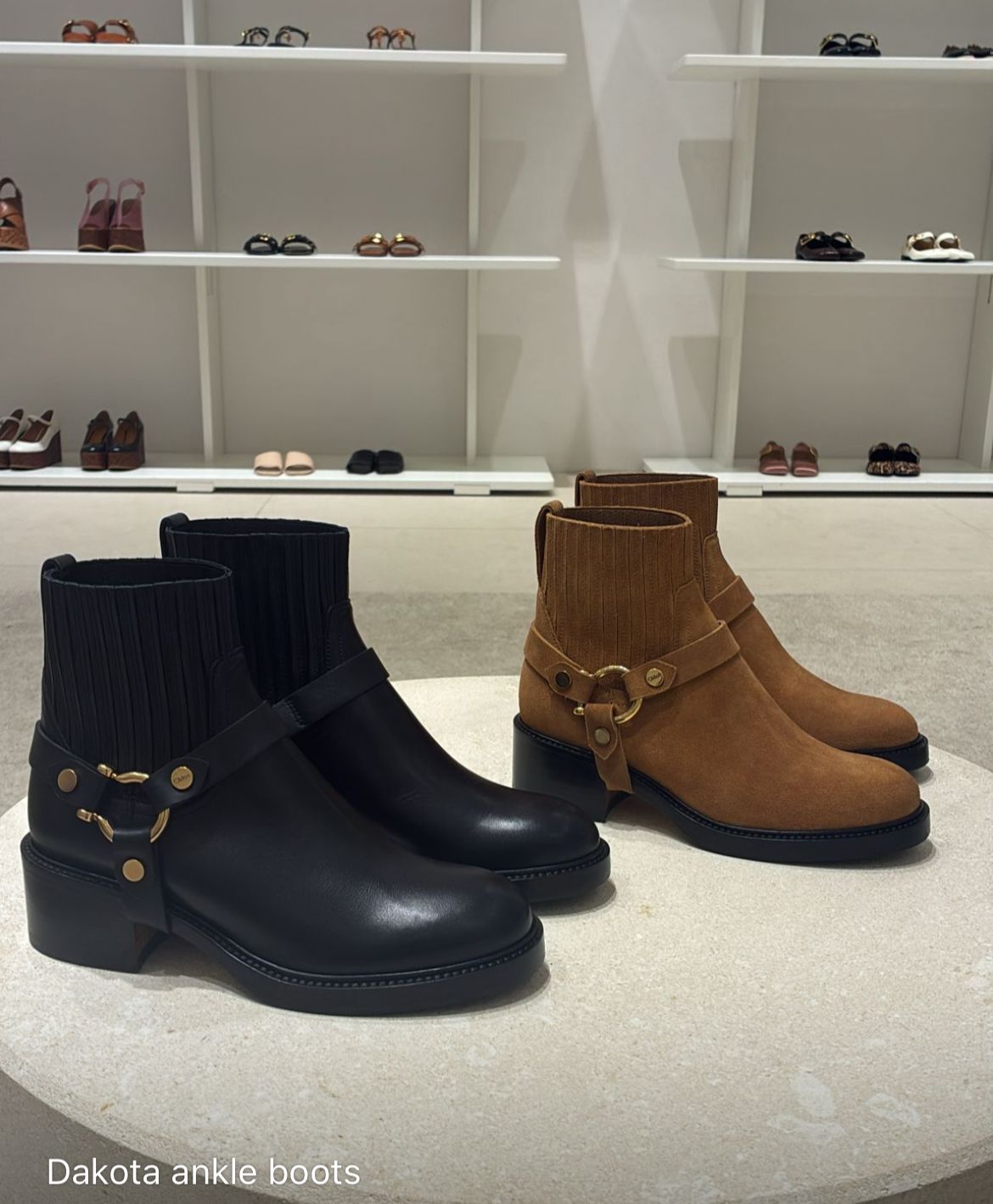 Dakota ankle boots