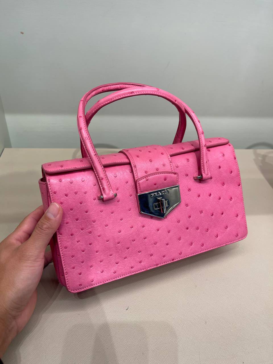Ostrich Leather Top Handle Bag