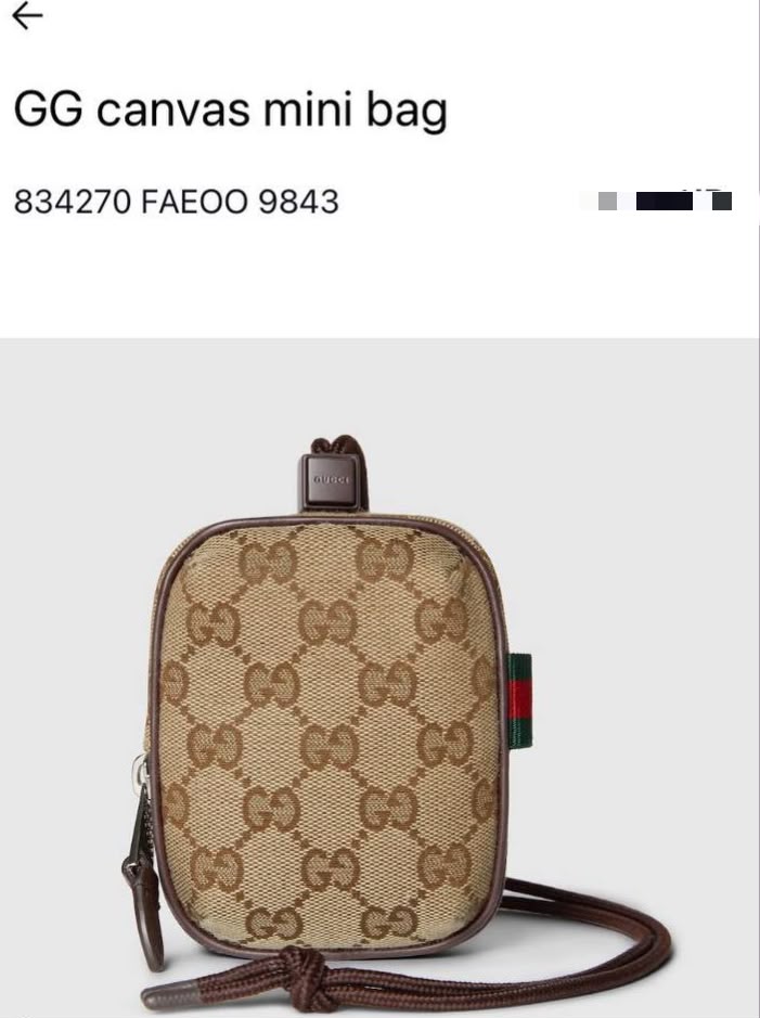 GG canvas mini bag