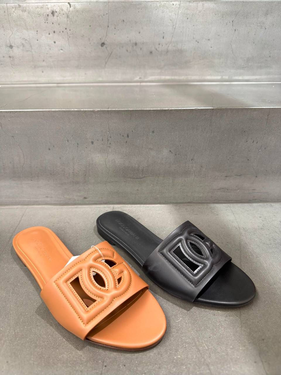 DG Logo Slides