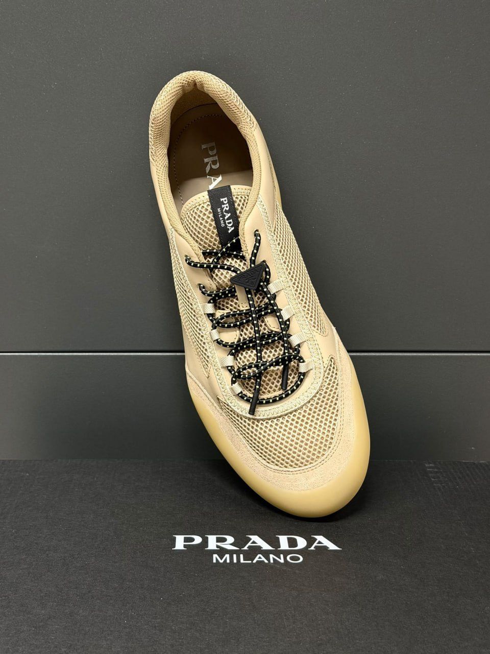 America's Cup Original Sneakers