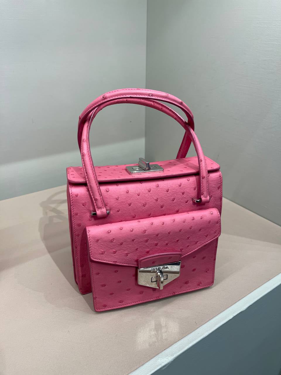 Ostrich Leather Top Handle Bag