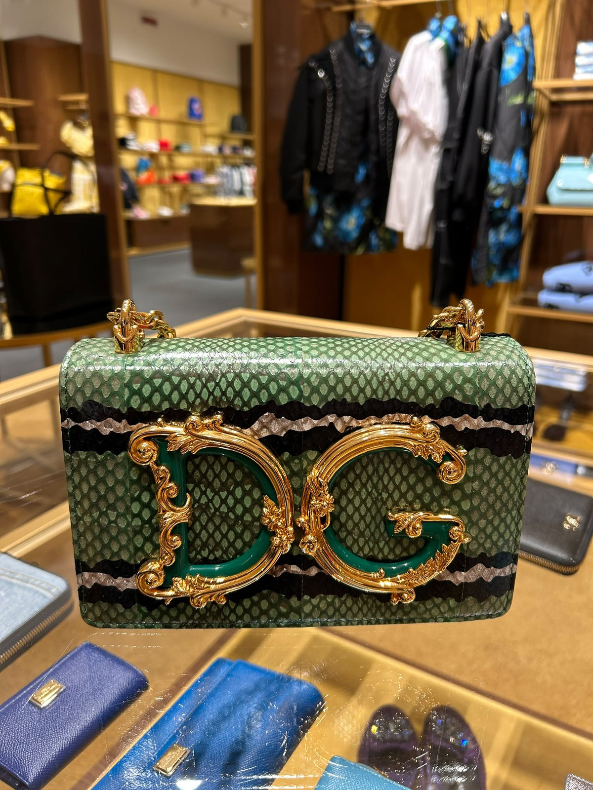 DG Logo Small Shoulder Bag in Snakeskin