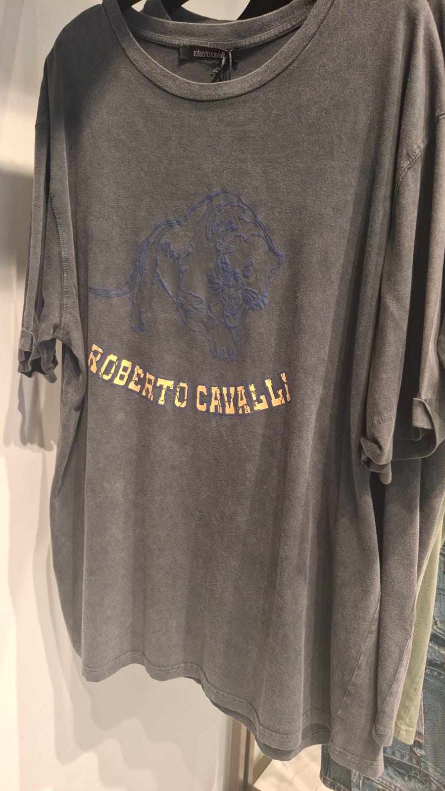 Tiger Graphic T-Shirt