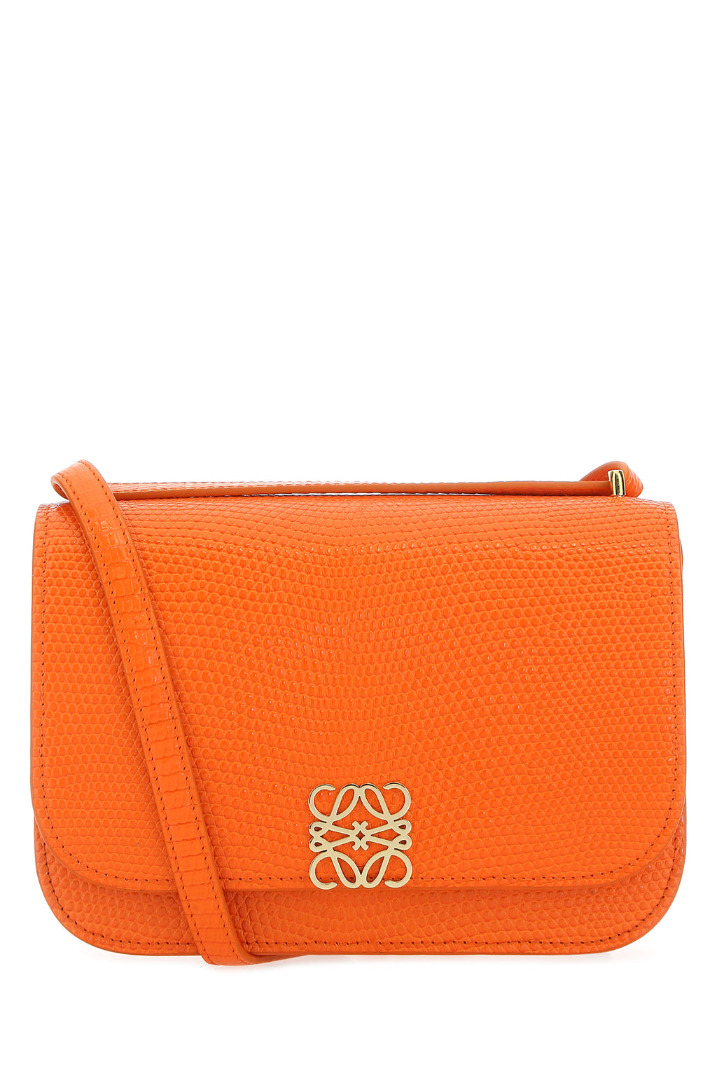 LOEWE BORSA For Women 