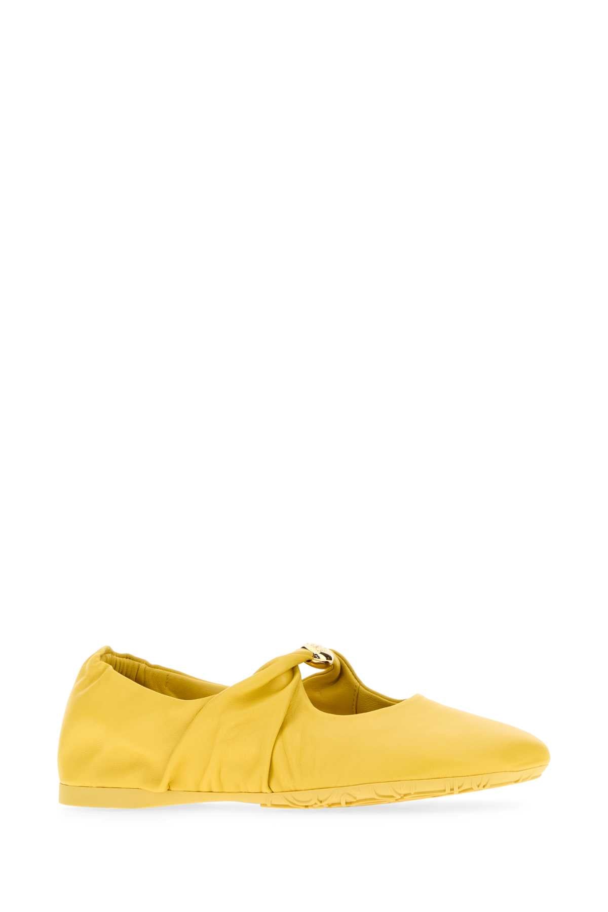 LOEWE PEBBLE SOFT BALLERINA For Women Exterior: 100% Lamb Interior: 100% Leather Sole: Rubber
