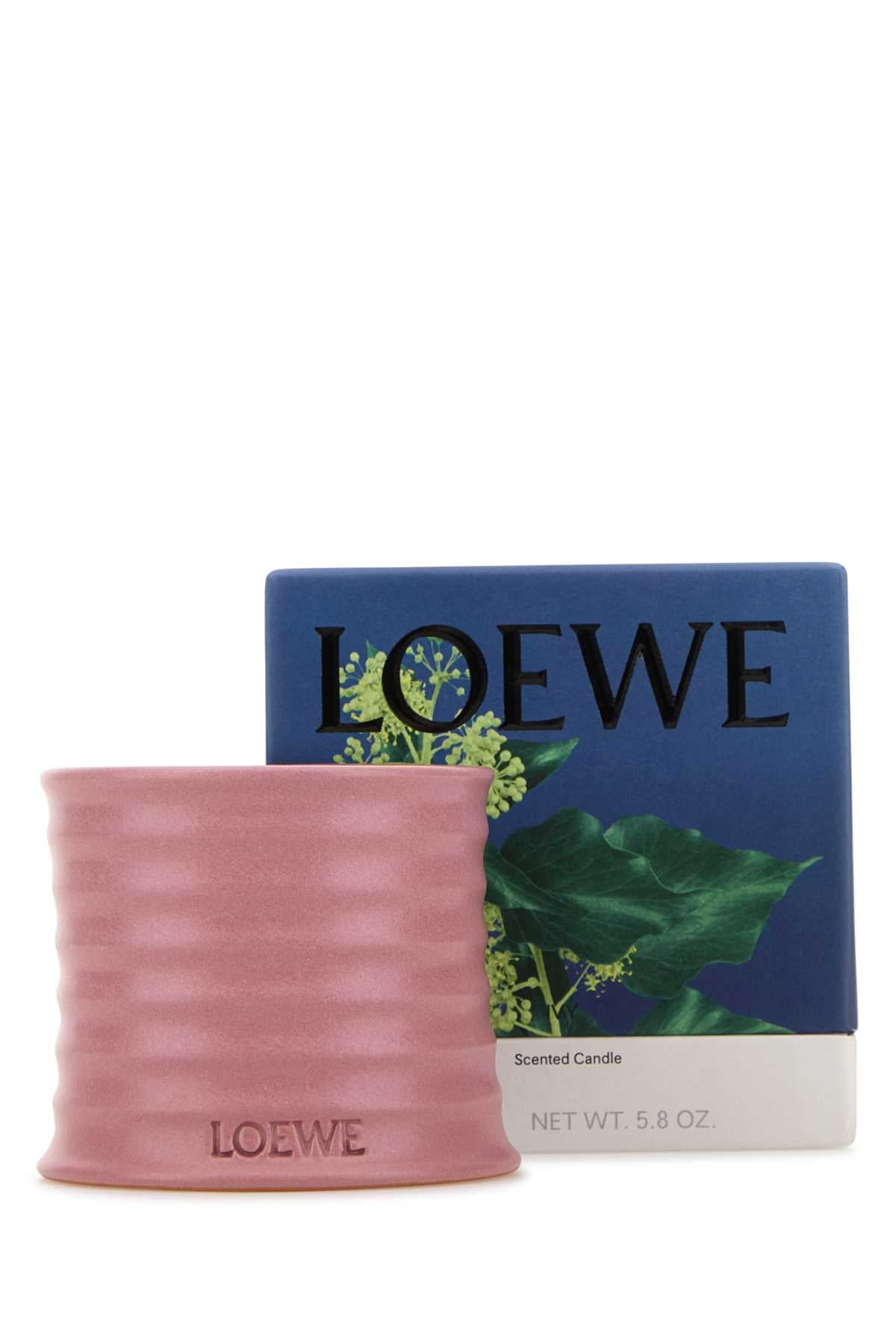 LOEWE LOEWE IVY CANDLE For UNISEX Exterior: 100% Terracotta Olfactory family: Floral