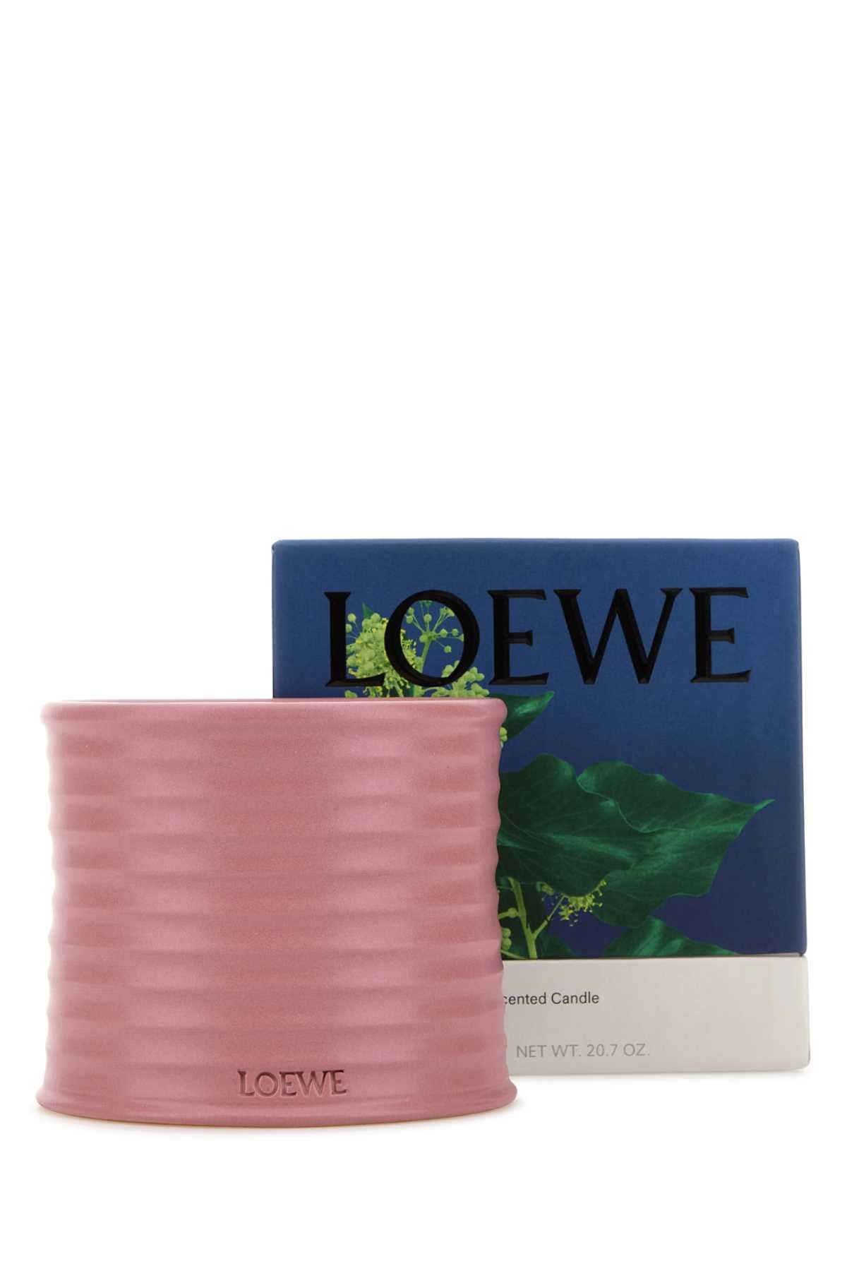 LOEWE LOEWE MEDIUM IVY CANDLE For UNISEX Exterior: 100% Terracotta Olfactory family: Floral