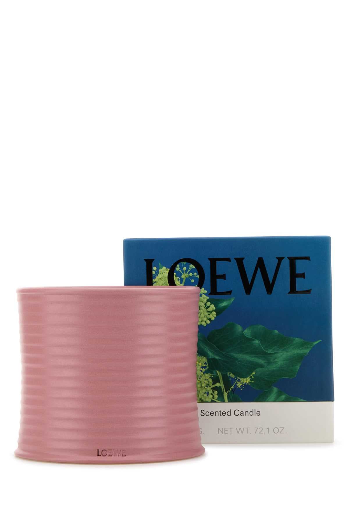 LOEWE LOEWE LARGE IVY CANDLE For UNISEX Exterior: 100% Terracotta Olfactory family: Floral