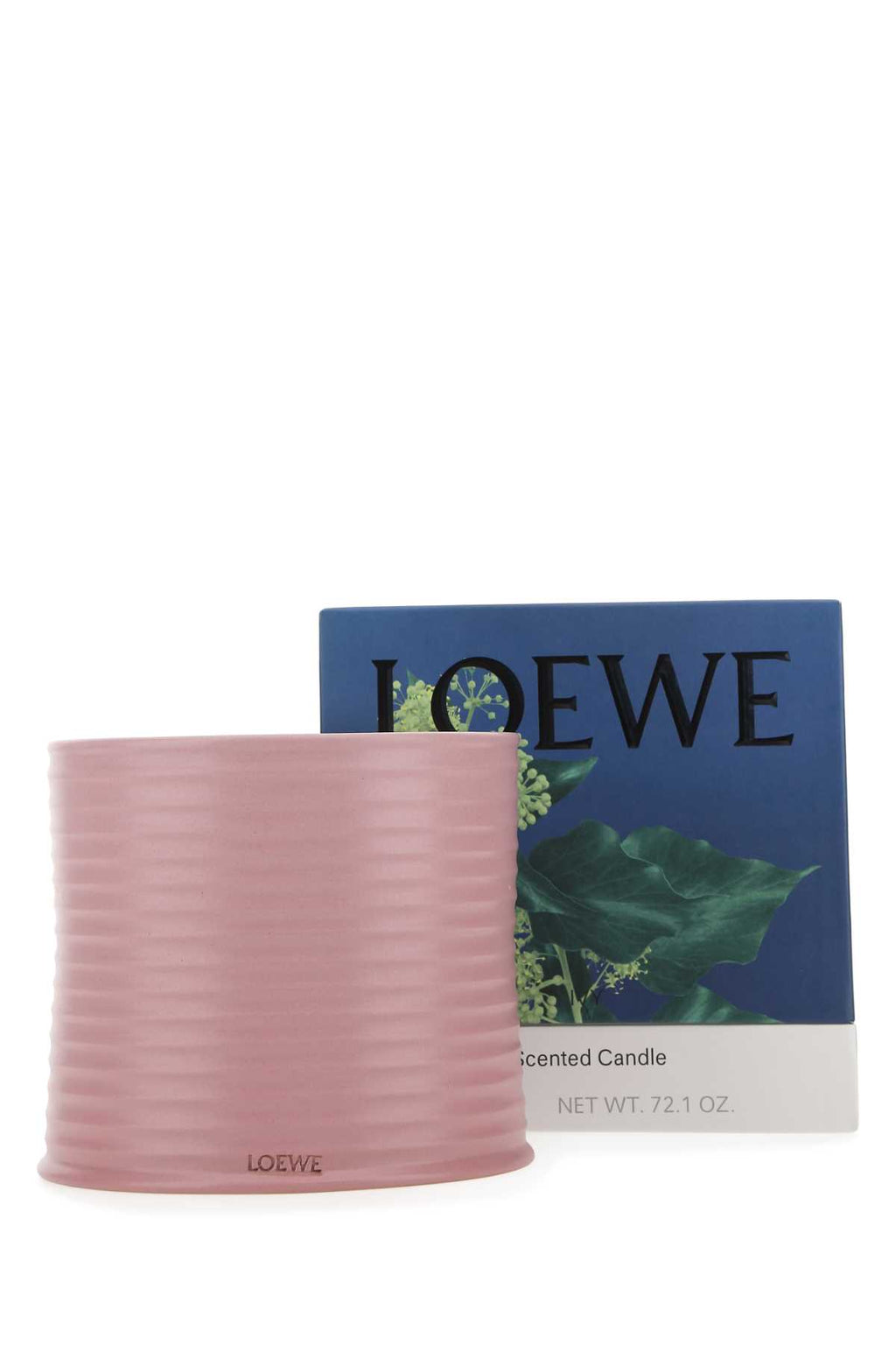 LOEWE CANDLE IVY L For UNISEX Exterior: 100% Terracotta Olfactory family: Floral