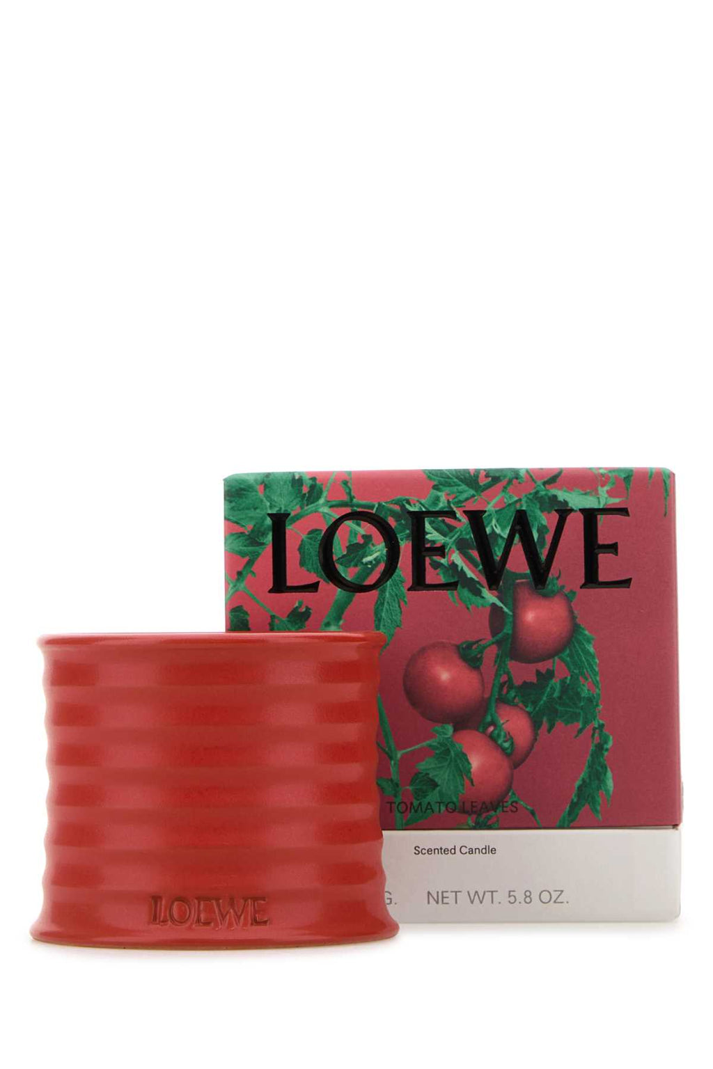 LOEWE LOEWE TOMATO LEAVES CANDLE For UNISEX Exterior: 100% Terracotta Olfactory family: Green