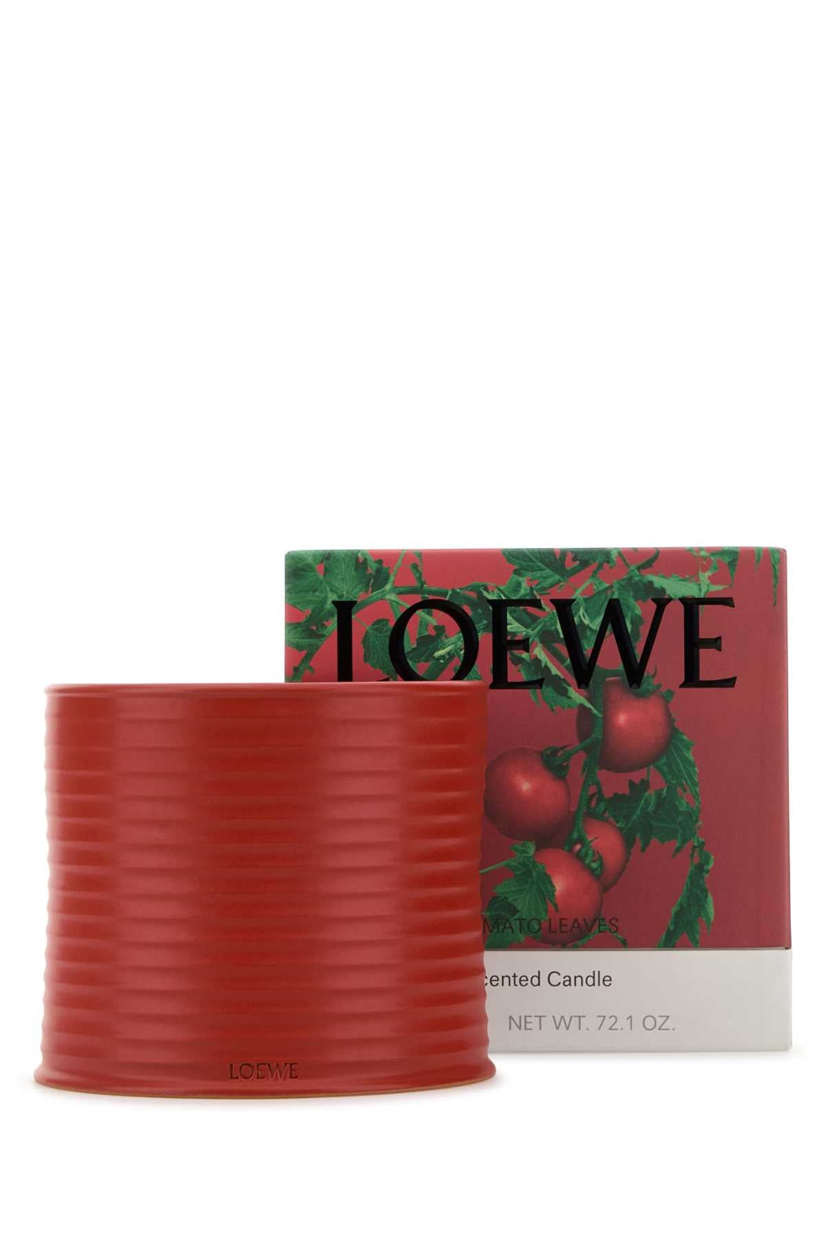 LOEWE LOEWE LARGE TOMATO LEAVES CANDLE For UNISEX Exterior: 100% Terracotta Olfactory family: Green