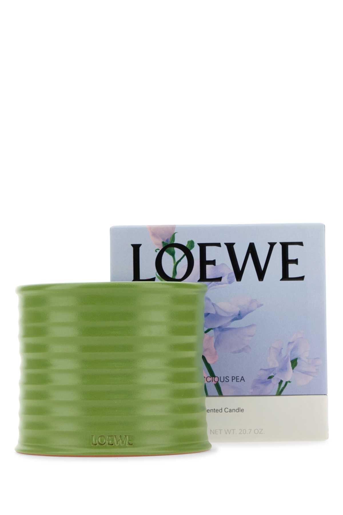 LOEWE CANDLE LUSCIOUS PEA M For UNISEX Exterior: 100% Terracotta Olfactory family: Green