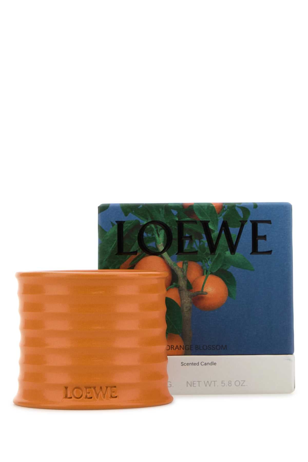 LOEWE LOEWE ORANGE BLOSSOM CANDLE For UNISEX Exterior: 100% Terracotta Olfactory family: Floral