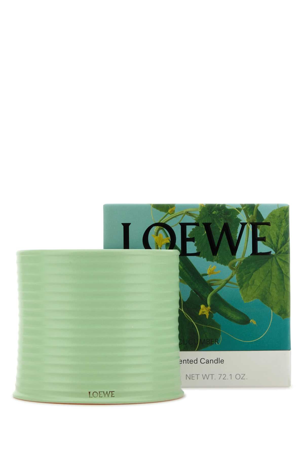 LOEWE LOEWE LARGE CUCUMBER CANDLE For UNISEX Exterior: 100% Terracotta Olfactory family: Natural