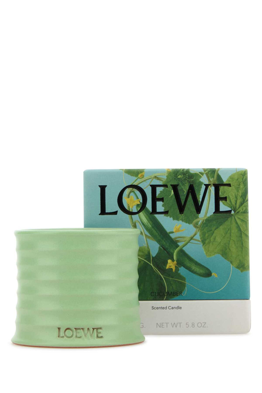 LOEWE LOEWE CUCUMBER CANDLE For UNISEX Exterior: 100% Terracotta Olfactory family: Natural