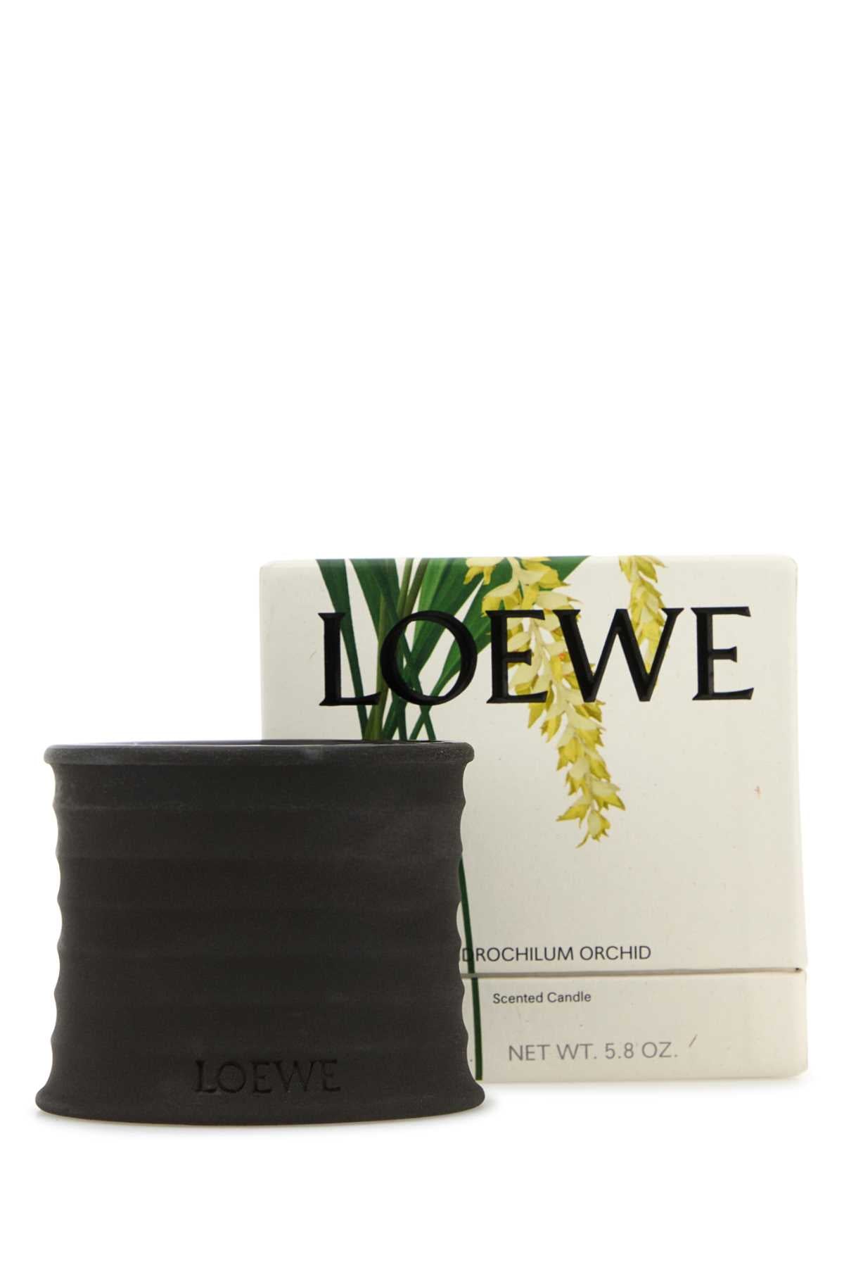 LOEWE LOEWE ORCHID TEXTURES CANDLE S For UNISEX Exterior: 100% Terracotta Olfactory family: Floral