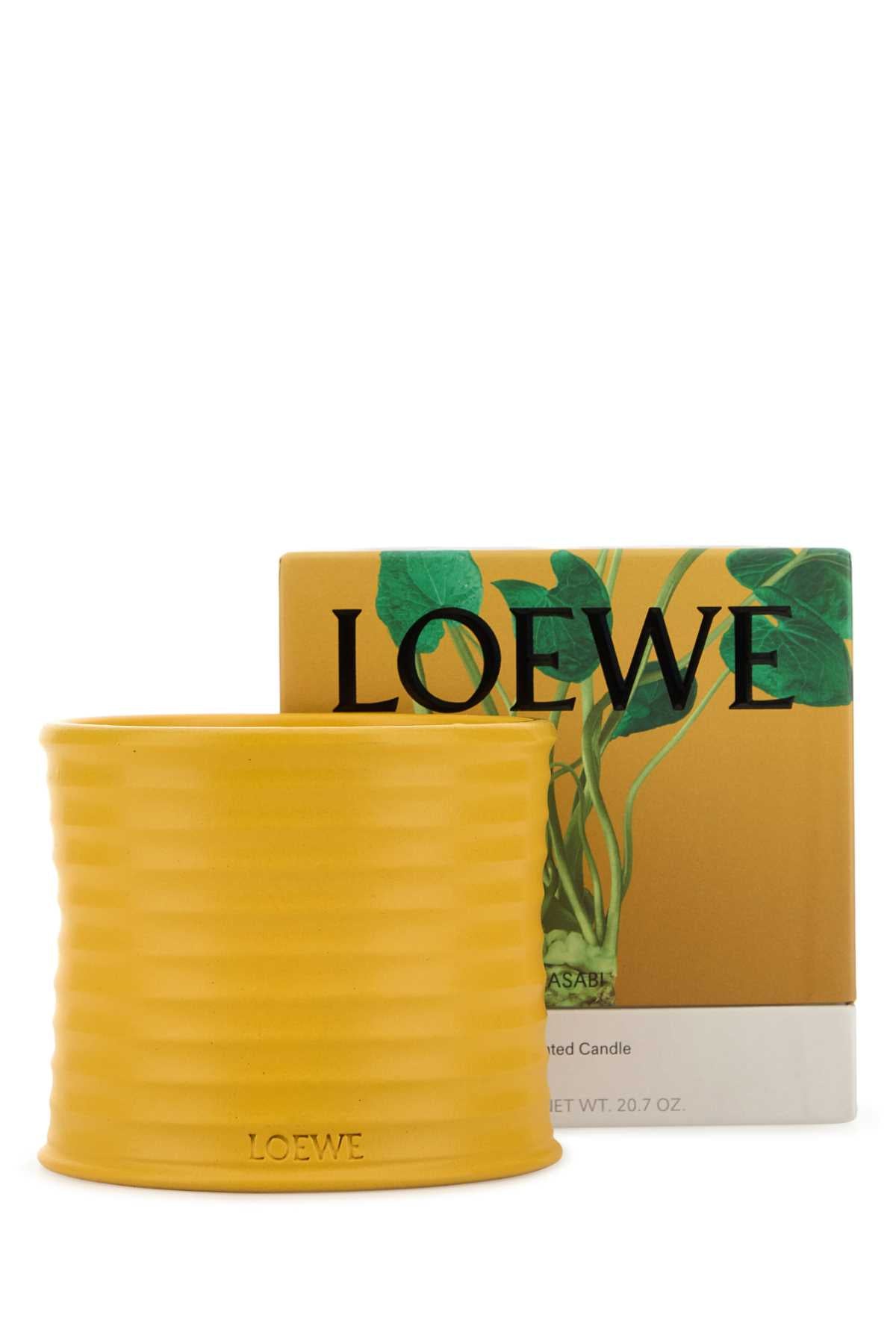 LOEWE LOEWE MEDIUM WASABI CANDLE For UNISEX Exterior: 100% Terracotta Olfactory family: Green and Spicy