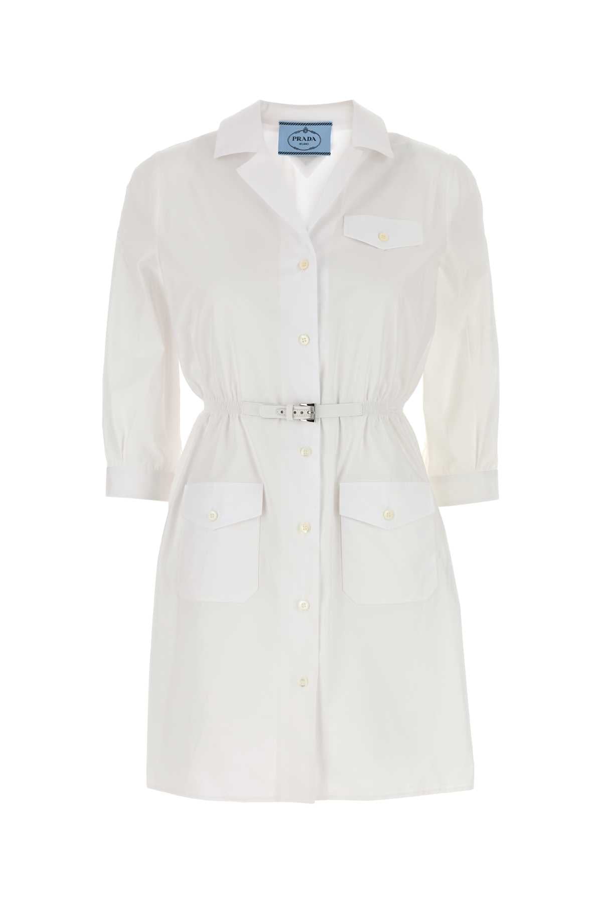 PRADA ABITO For Women 100%CO-100%LAMBLEATHER-100%TROCHUSNILOTICUS