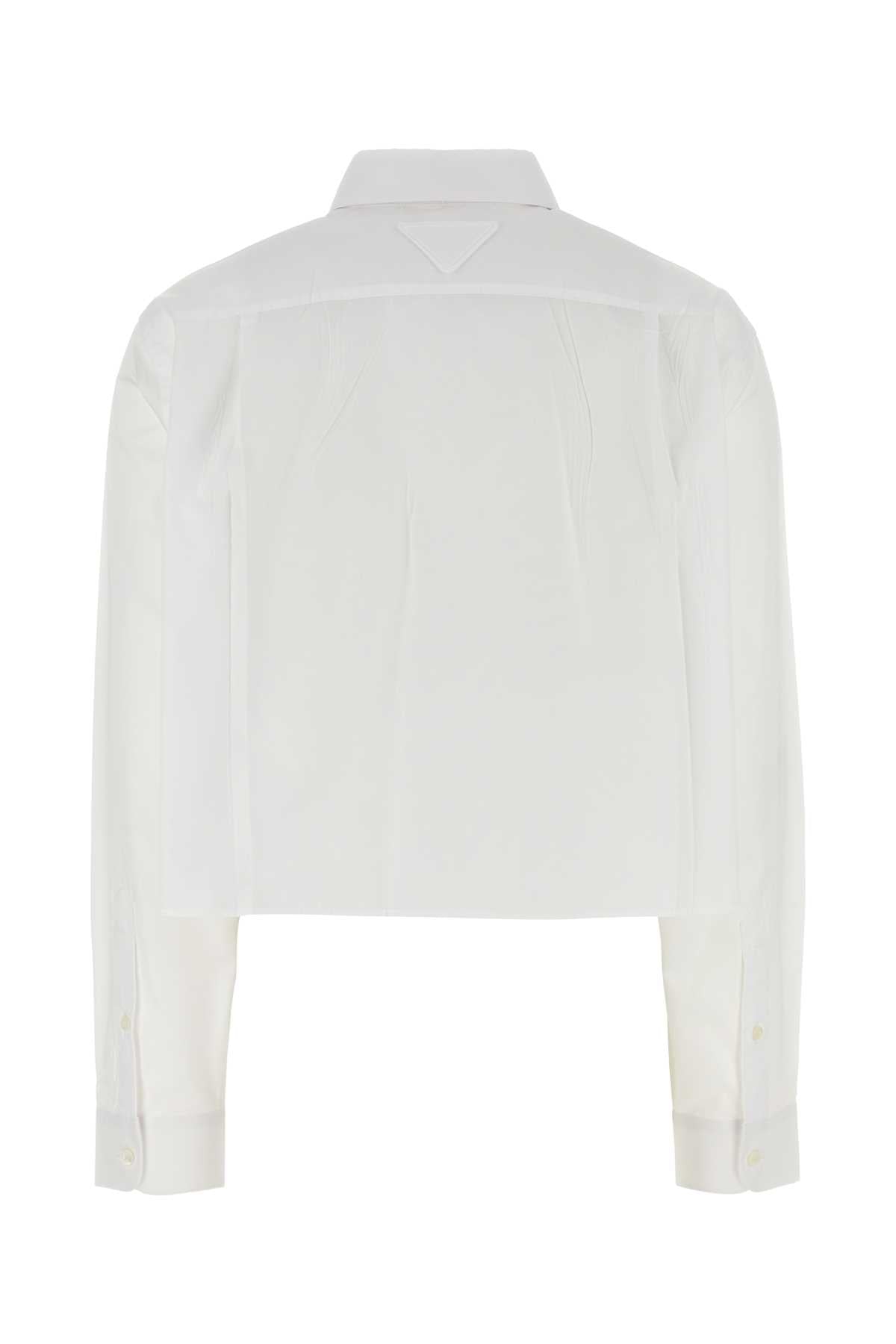 PRADA CAMICIE For Women 100%CO-100%TROCHUSNILOTICUS
