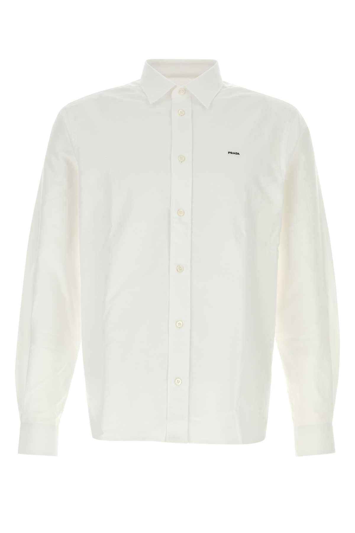 PRADA CAMICIE For Men 100%CO-100%TROCHUSNILOTICUS