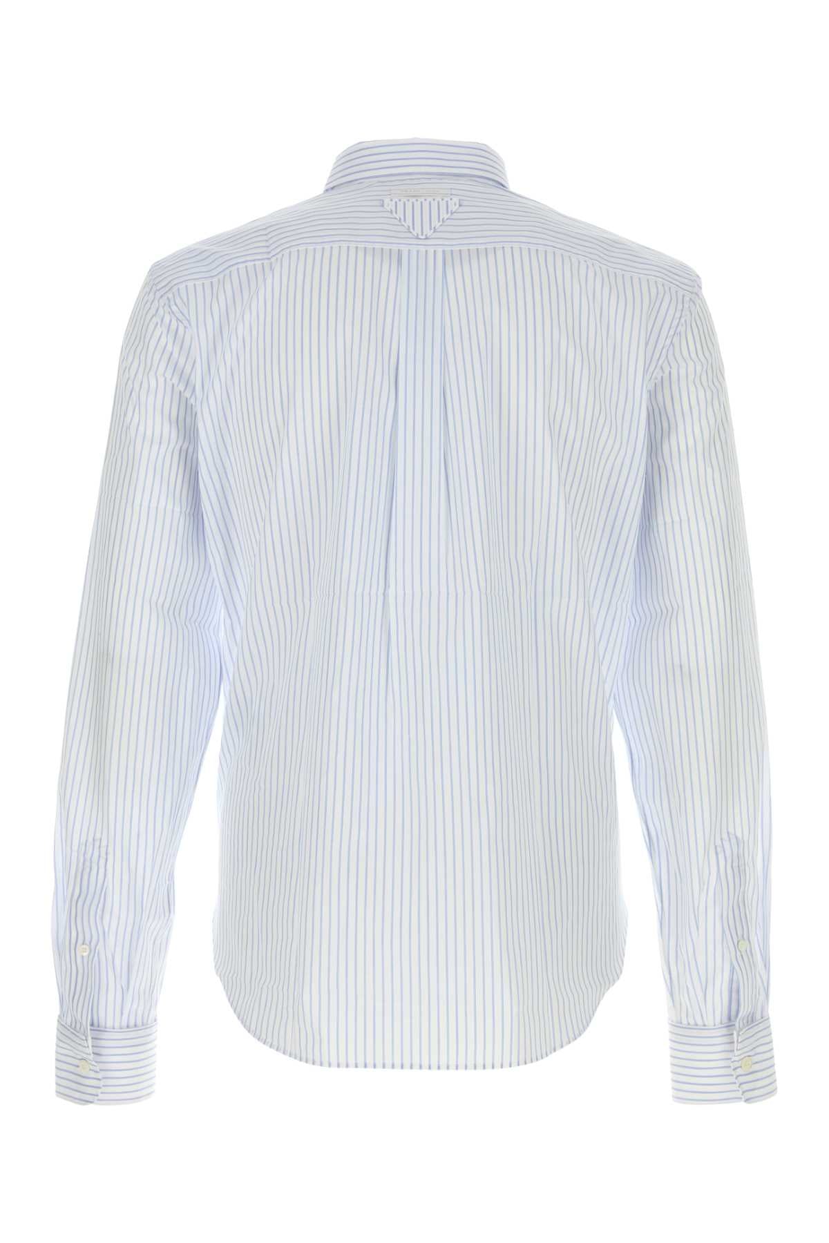 PRADA RIGHE For Men 100%CO-100%TROCHUSNILOTICUS