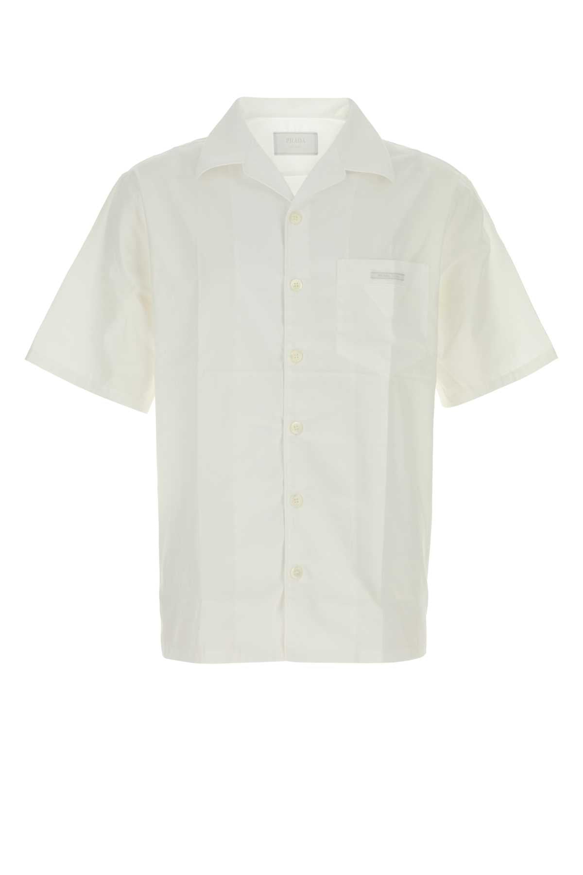 PRADA POPELINE For Men 100%CO-100%TROCHUSNILOTICUS