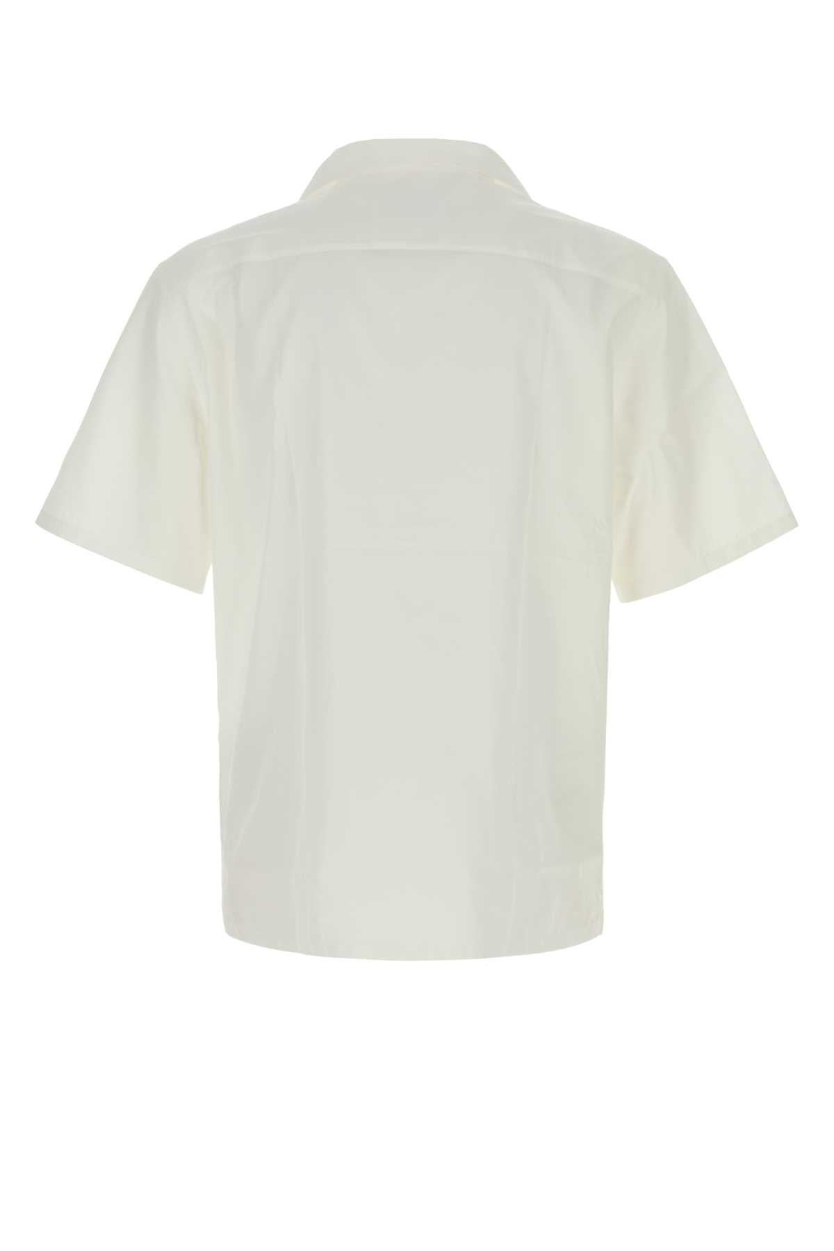 PRADA POPELINE For Men 100%CO-100%TROCHUSNILOTICUS