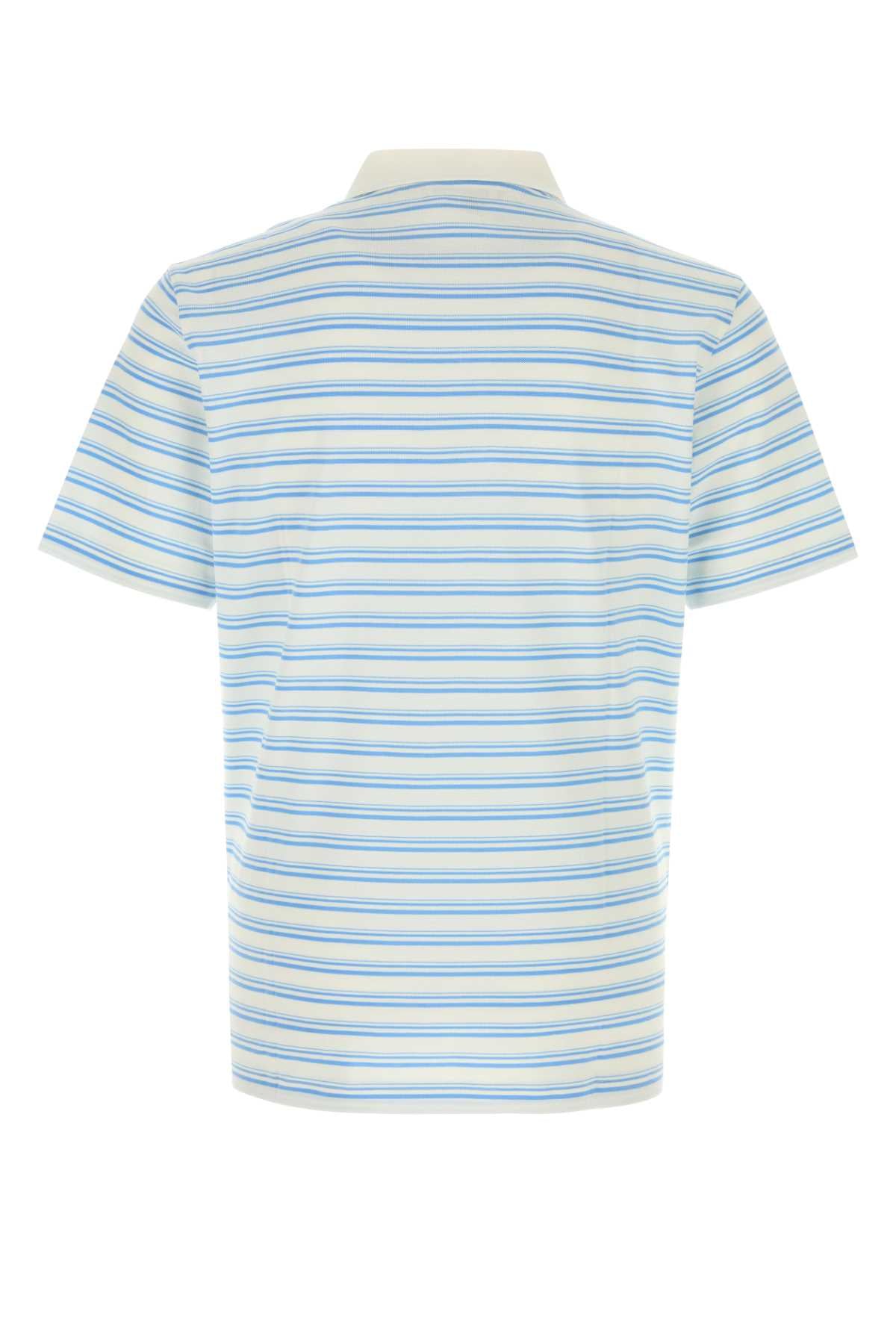 PRADA JERSEY For Men 100%CO-100%TROCHUSNILOTICUS