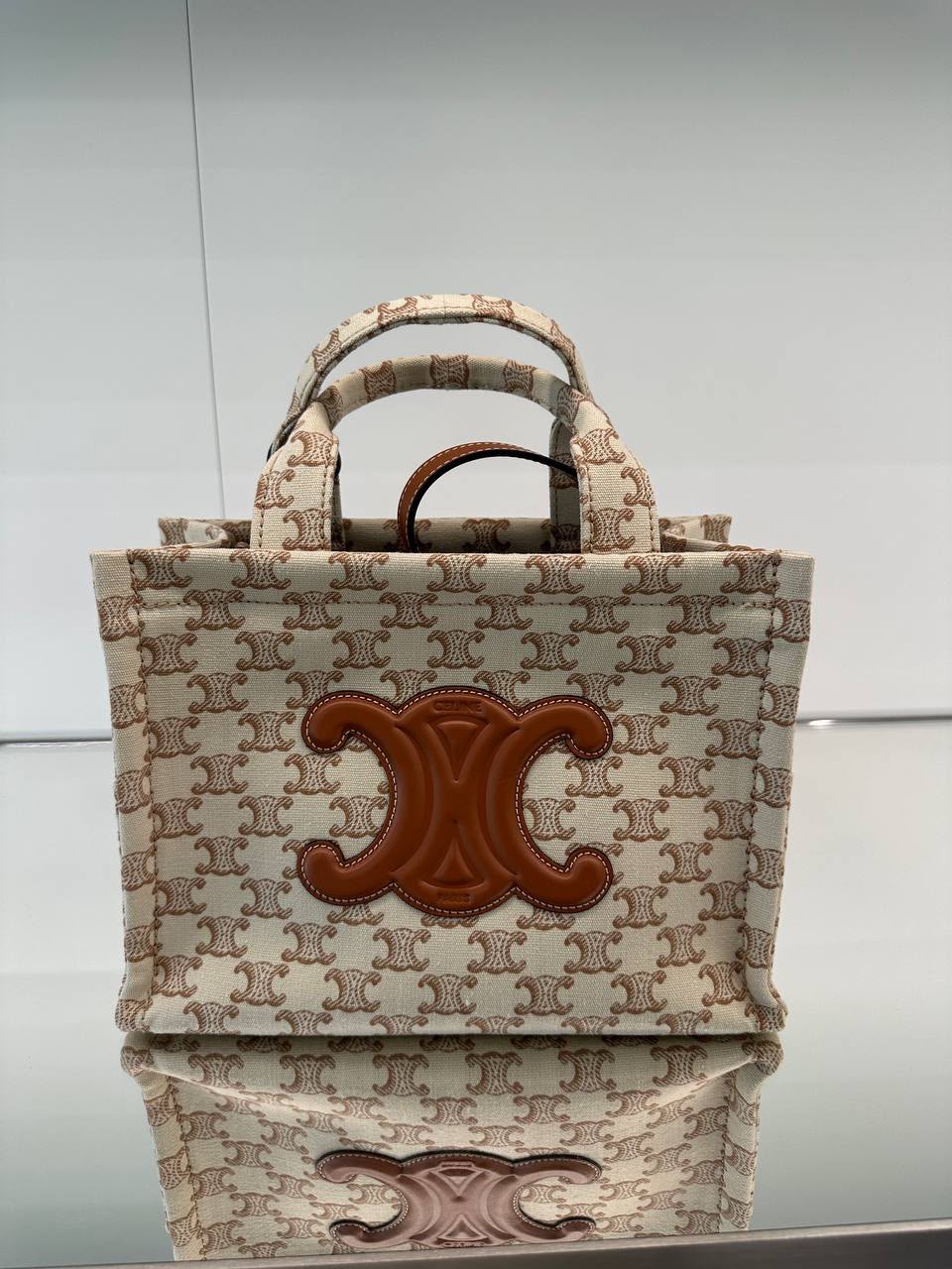 Mini Cabas Tote in Triomphe Canvas and Calfskin