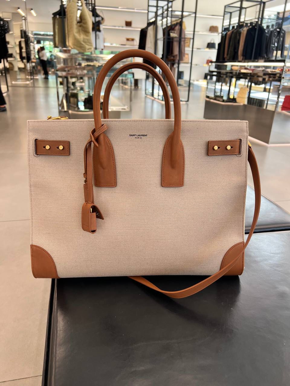 Sac de Jour Tote Bag in Canvas and Leather