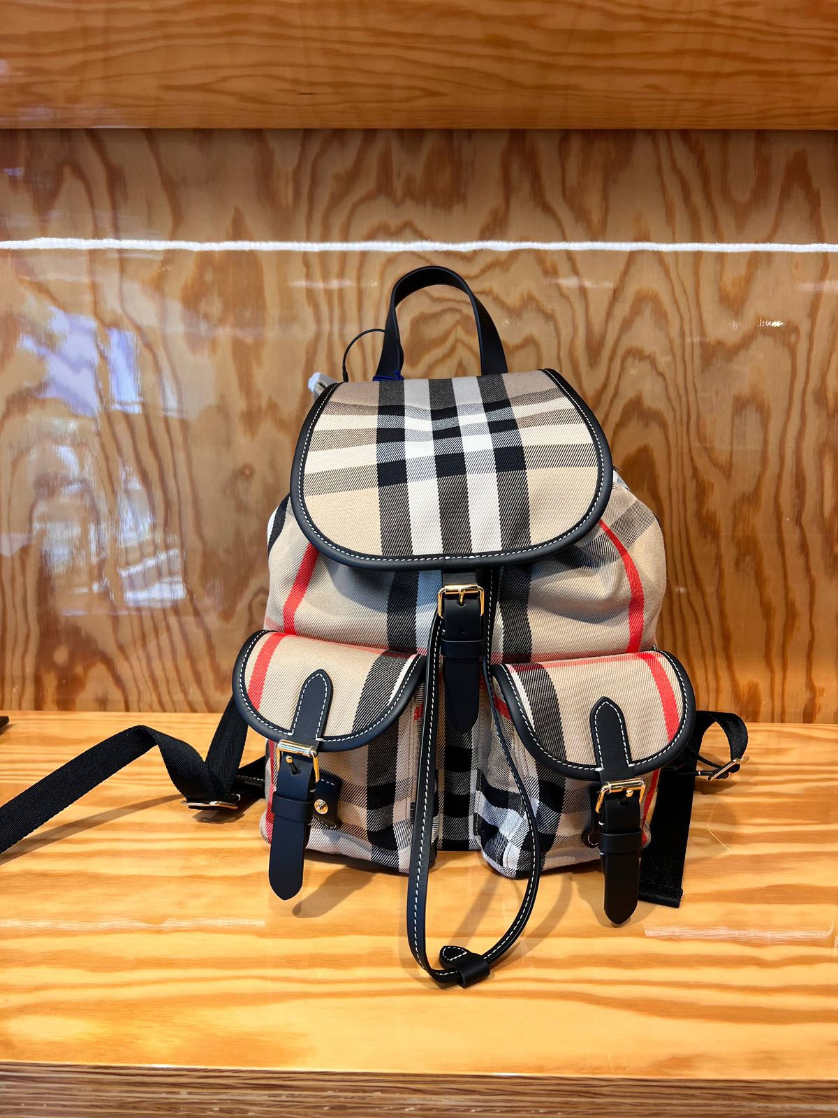 Burberry Rucksack in Vintage Check