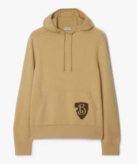 Shield Logo Cashmere Hoodie