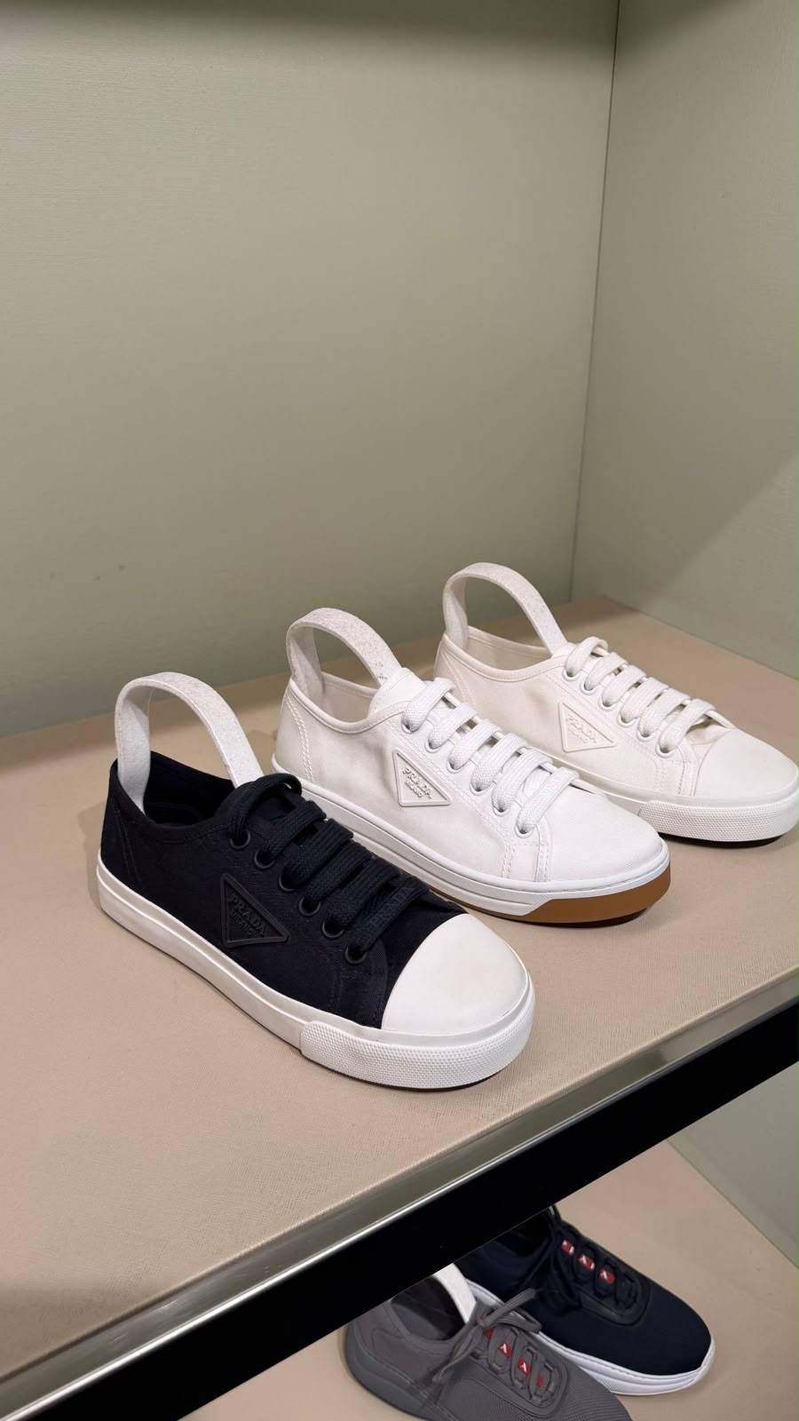 Canvas Sneakers