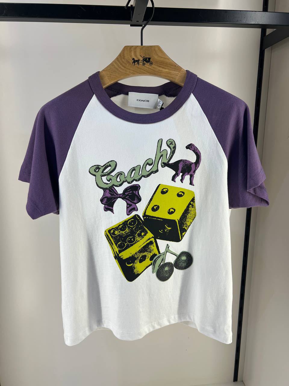 Rexy Dice Graphic Raglan T-Shirt