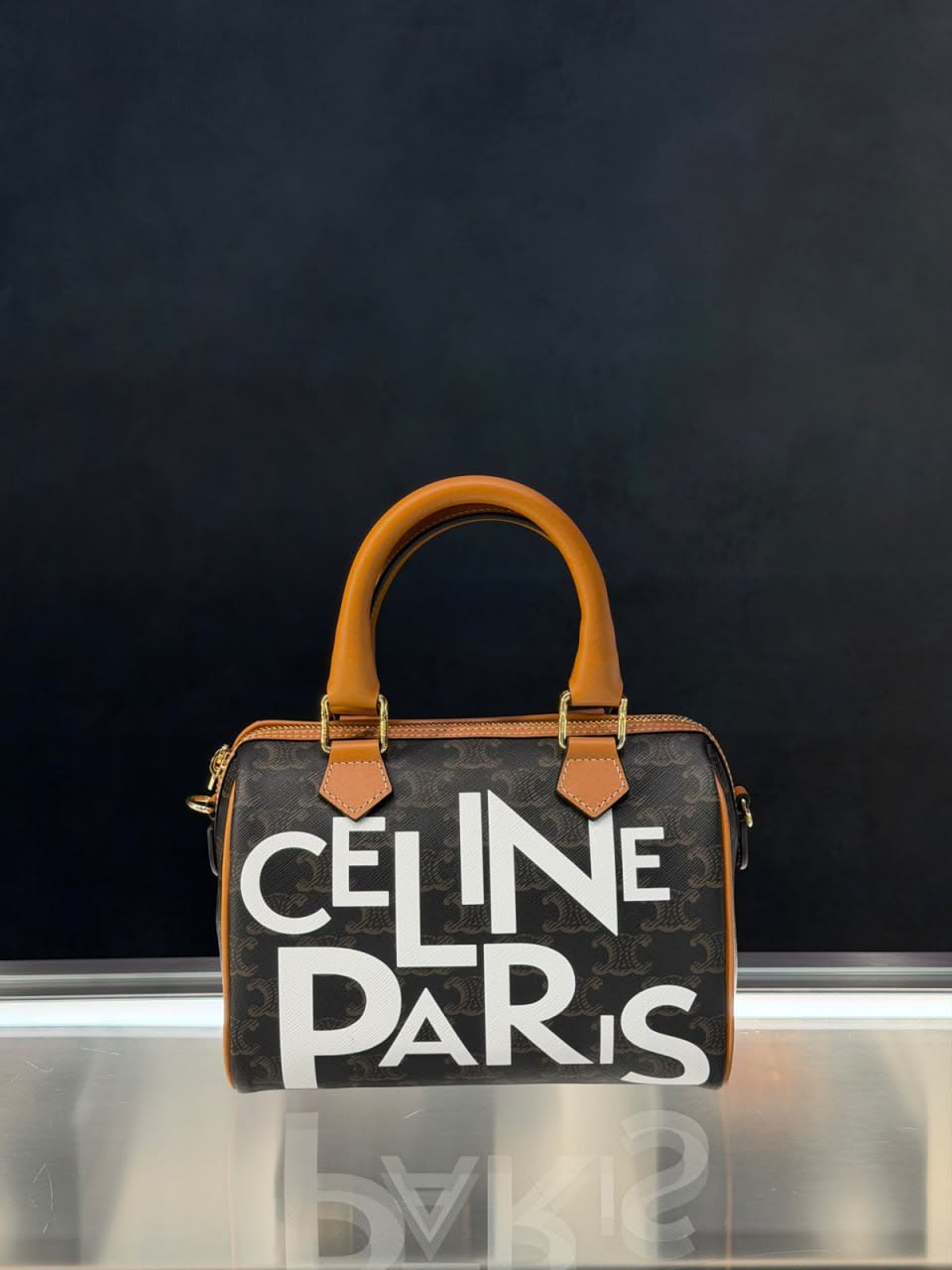 Boston Bag in Triomphe Canvas with Paris Print