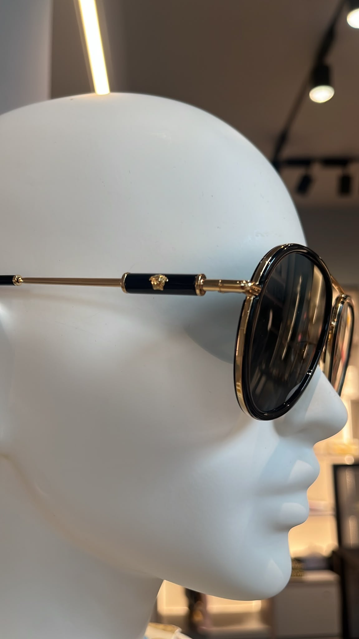 VE2251 Sunglasses