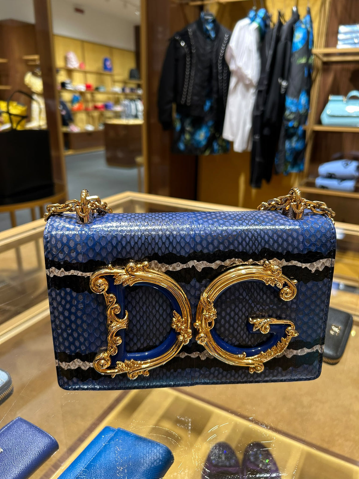 DG Logo Small Shoulder Bag in Snakeskin